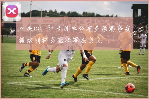中央cct 5+节目单公布多项赛事安排欧洲杯男篮联赛成焦点