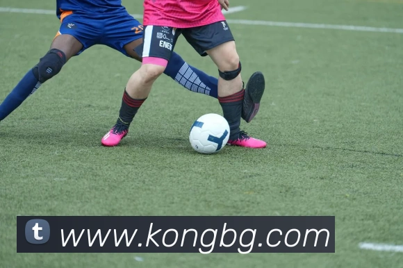 星空手机官方网站发展历程